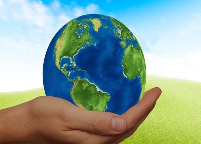 QQ图片20200426155241