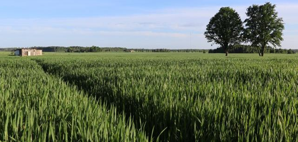 QQ图片20200426155516