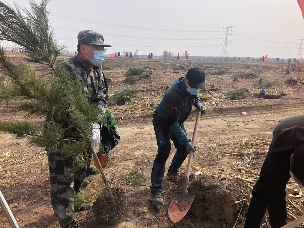 98803d57cf9d3e1b58b1cd8f092a15f