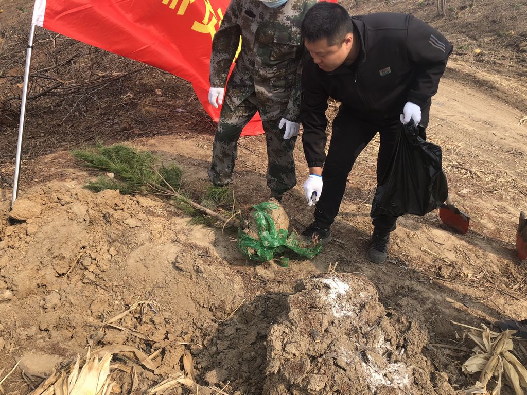 f1c09c982a2a4176fbca04a7282063e