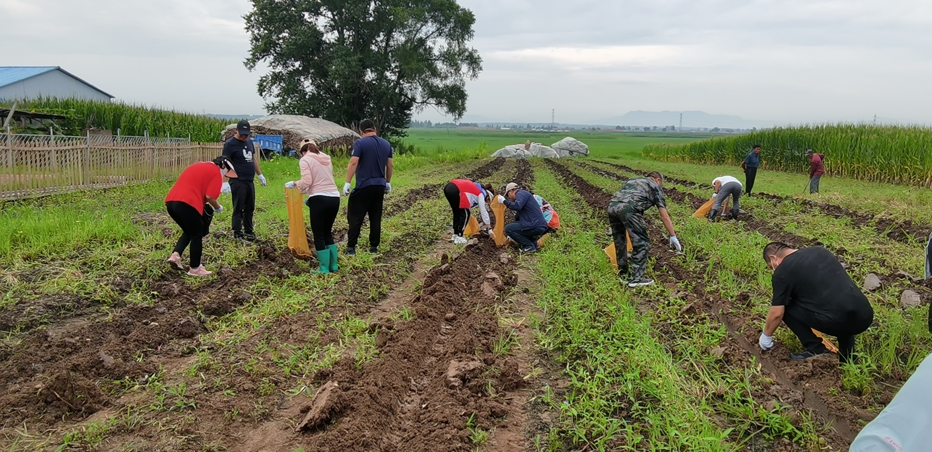 5c5c88287f8c062525f84544f6d4937