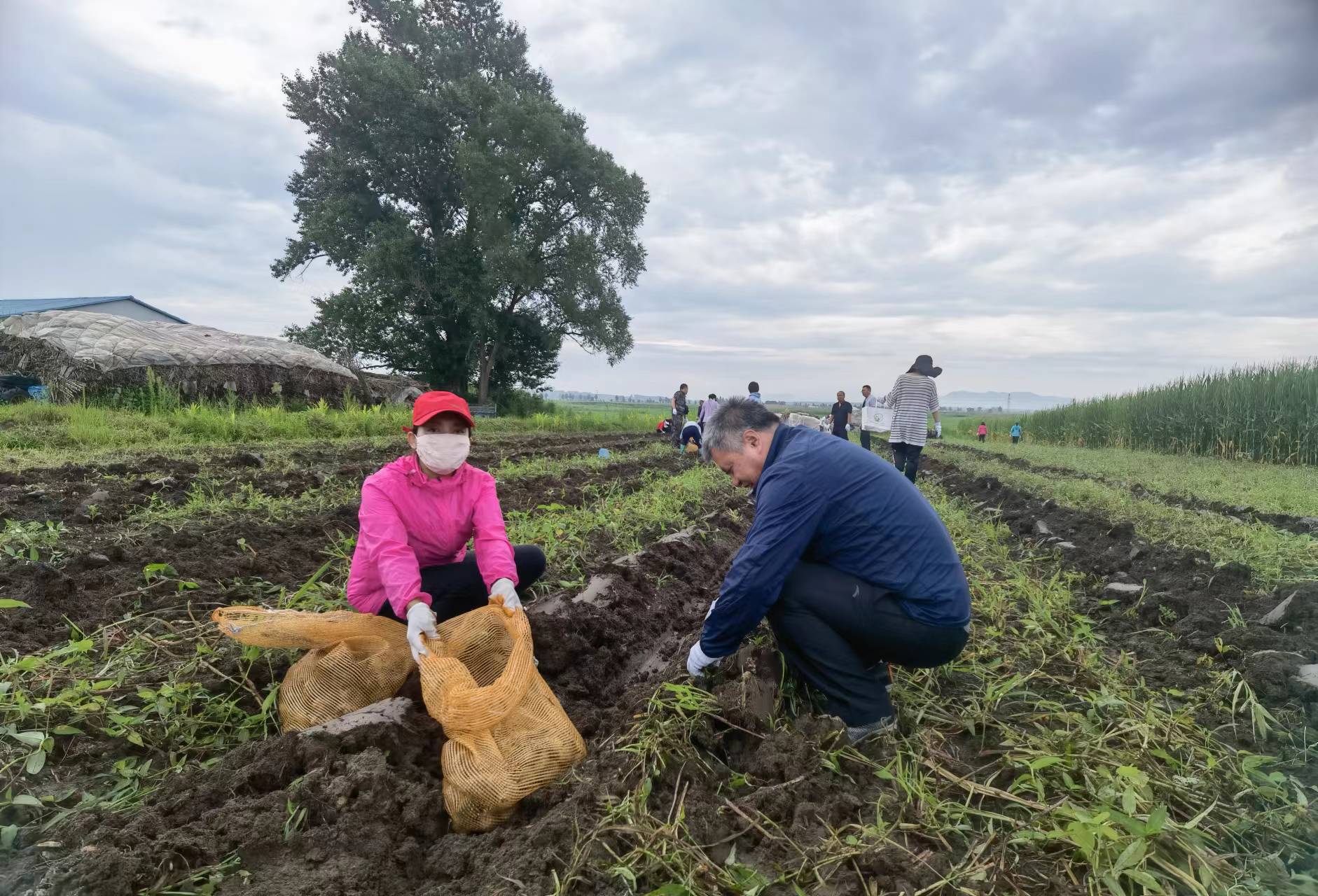 6c635f1b09958c5f448d8e4afd4d016