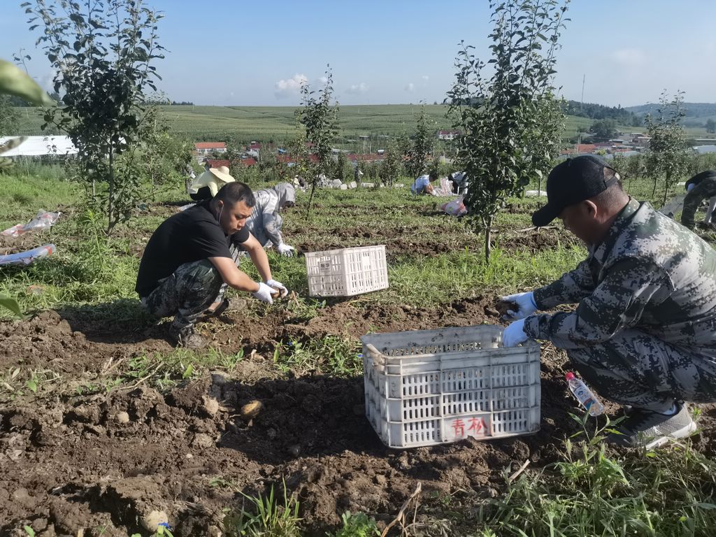 9c029465a5ca3aadcf923e235dd58e0