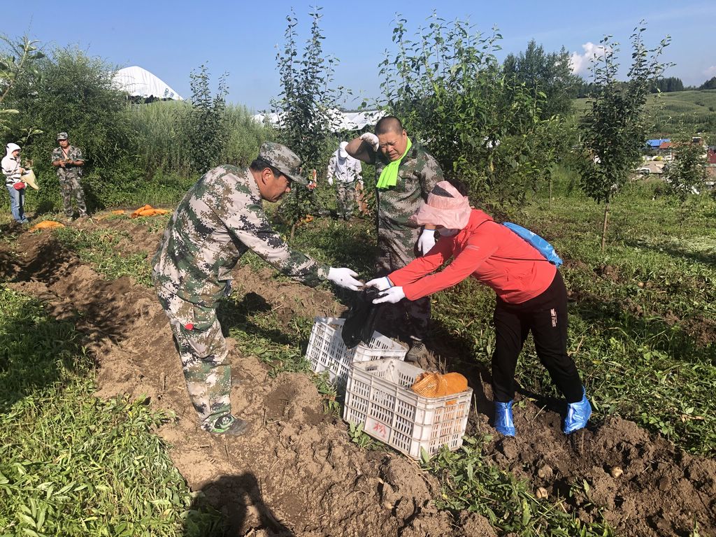 94d2f8054c5f4f8cd050f7ddb426c81