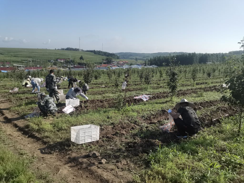 2517040eeb0aabf94d28e08d83529ae