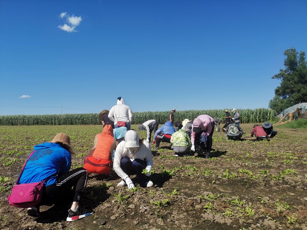 6a9f2f20b18a99a65719ea66f345889