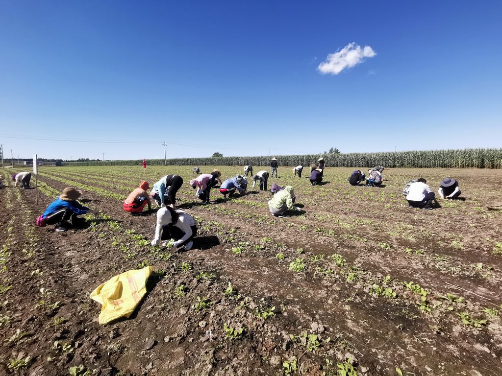 7f696922379fd0ba24a843275b442b2